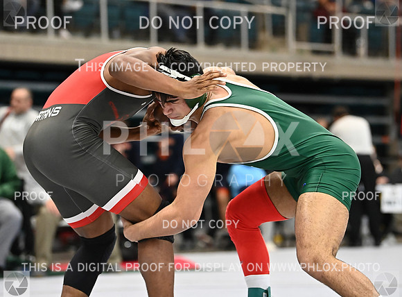 DLS_9194