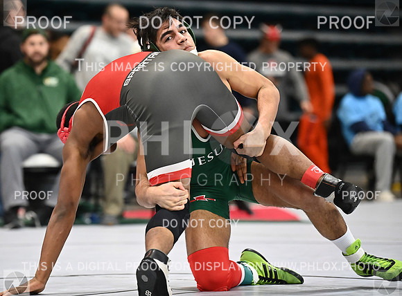 DLS_9200