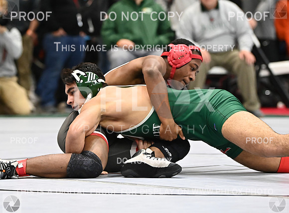 DLS_9210