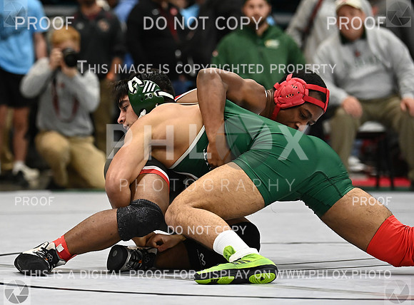 DLS_9213
