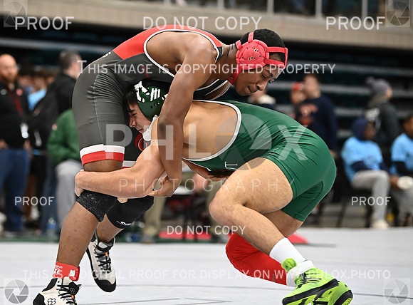 DLS_9196