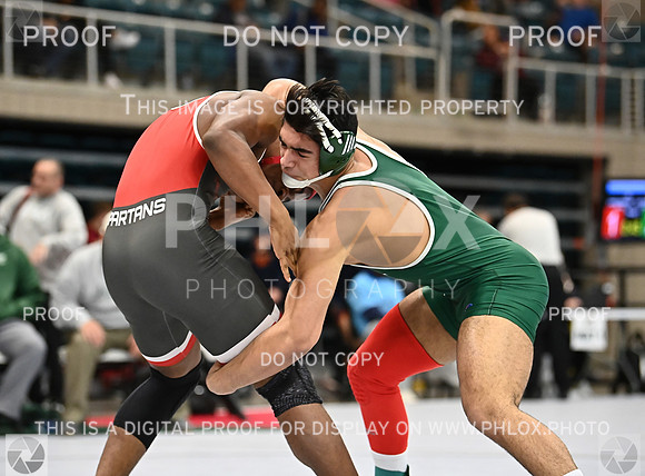 DLS_9193