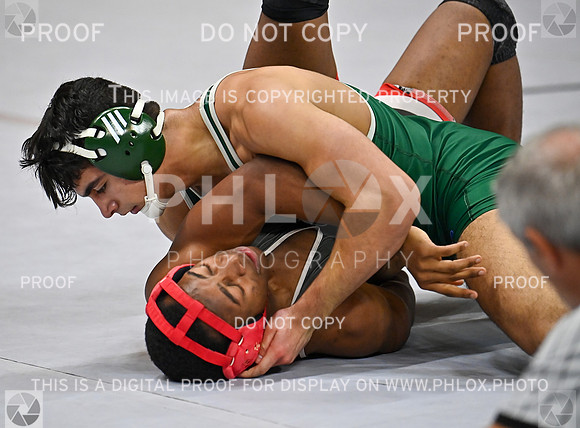 DLS_9274
