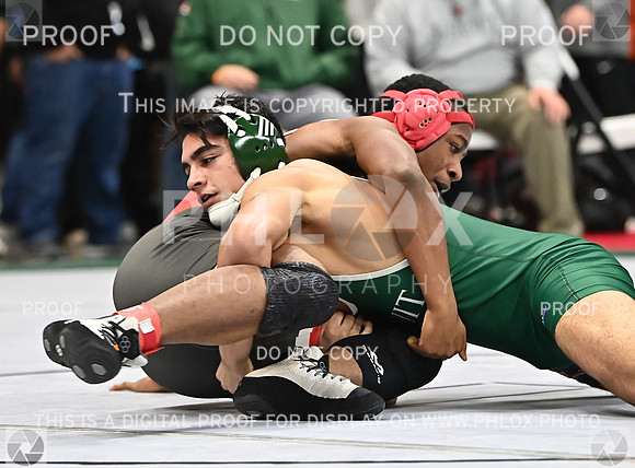 DLS_9209