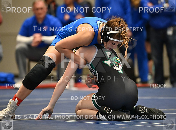 DLS_9582