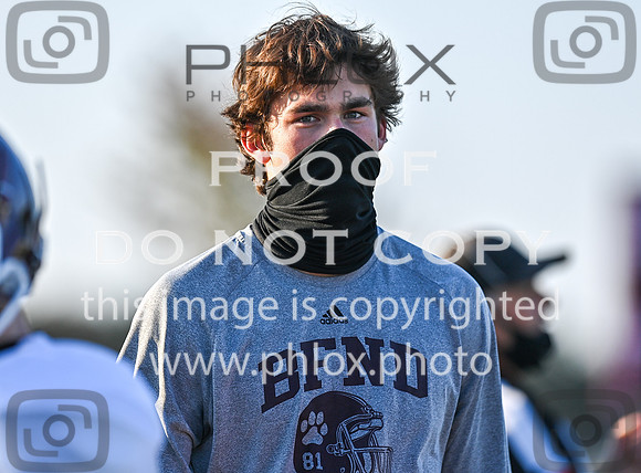DLS_9131