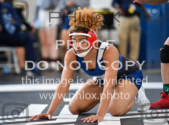 FDS_2537