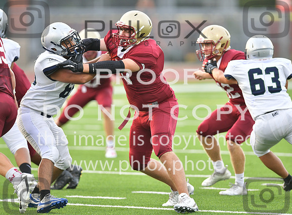 TOM_4241