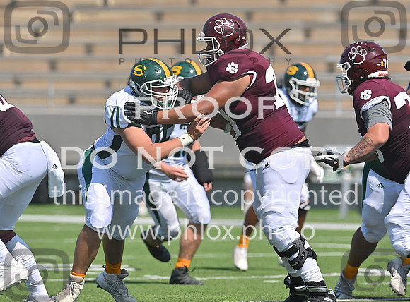 DLS_0091