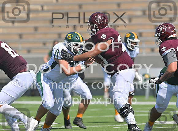 DLS_0090