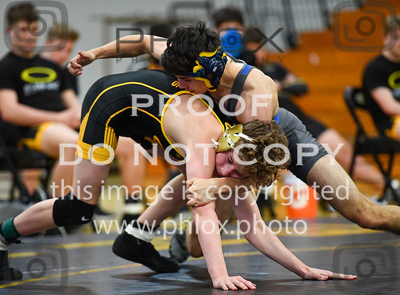 FDS_3135