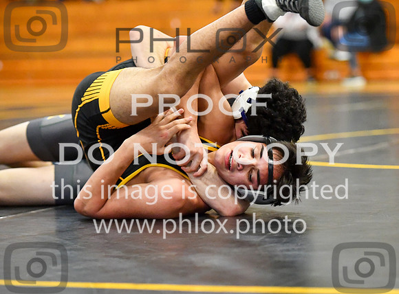 FDS_3199