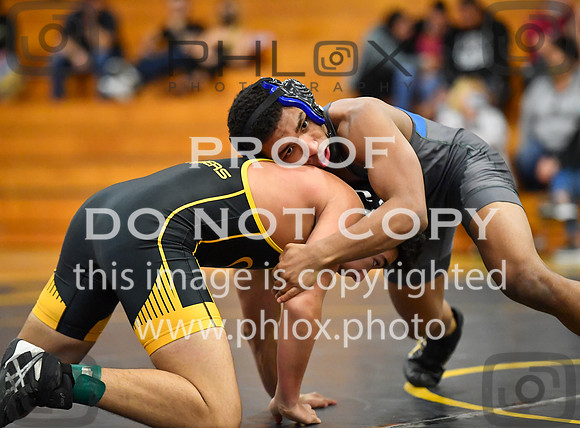 FDS_3226