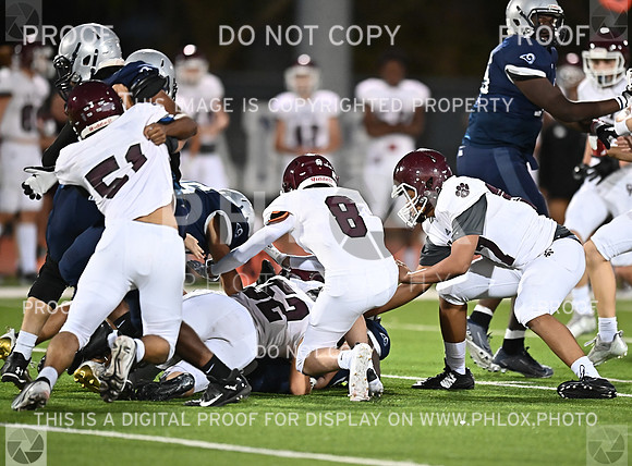 DLS_0590