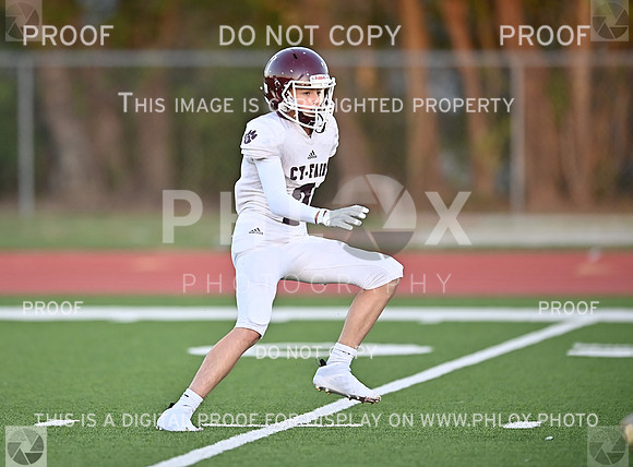 DLS_0325