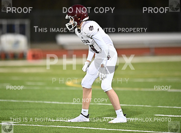 DLS_0581
