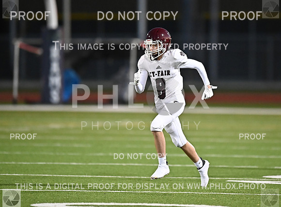DLS_0559