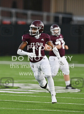 DLS_3015