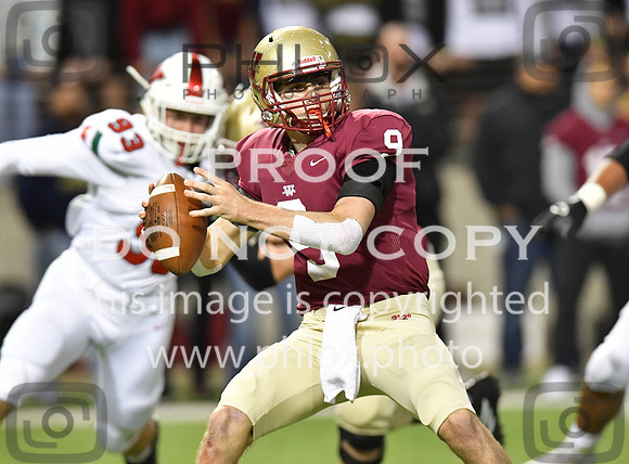 TOM_2173