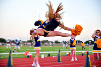 D5D_0903