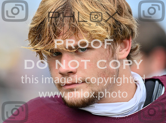 DLS_9731