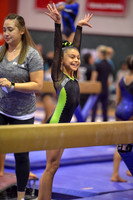 High Velocity Gymnastics
