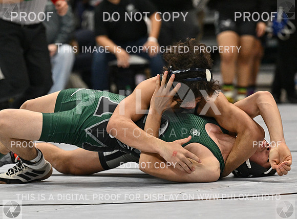 DLS_0136