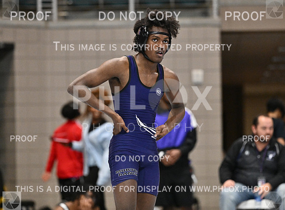 DLS_0129
