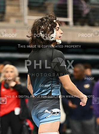 DLS_0044
