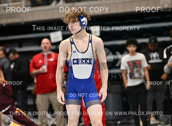 DLS_0112
