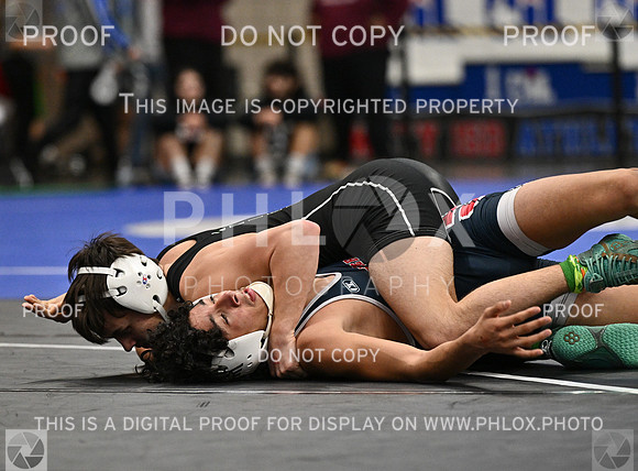 DLS_0097