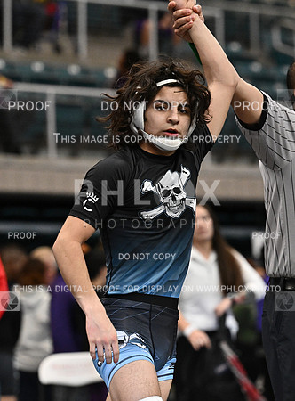 DLS_0049