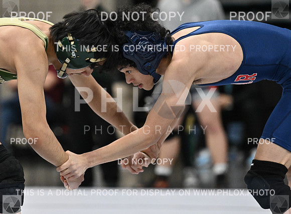 DLS_0079