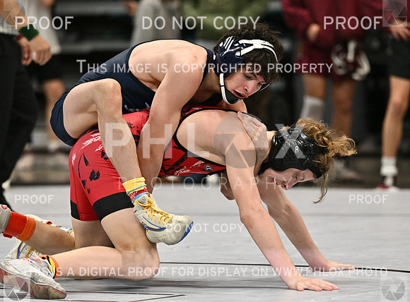 DLS_0081