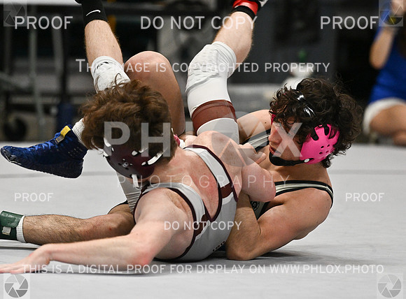 DLS_0046