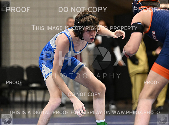 DLS_0043