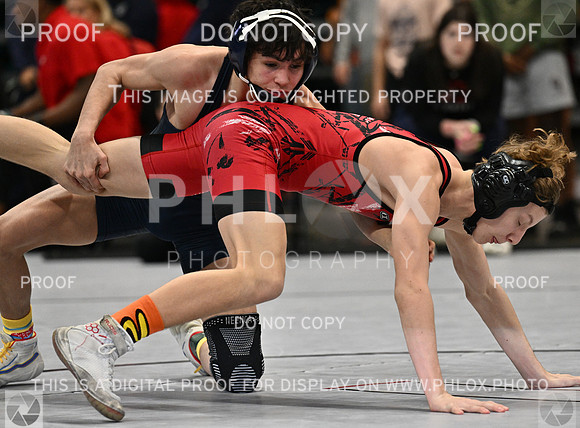 DLS_0075