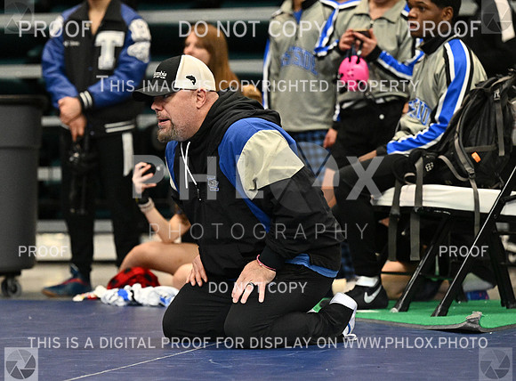 DLS_0091