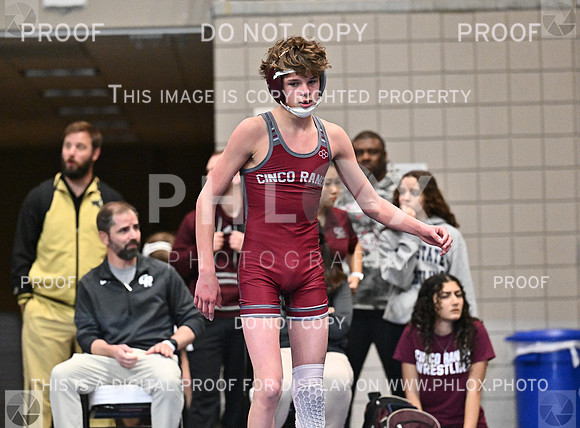 DLS_0118
