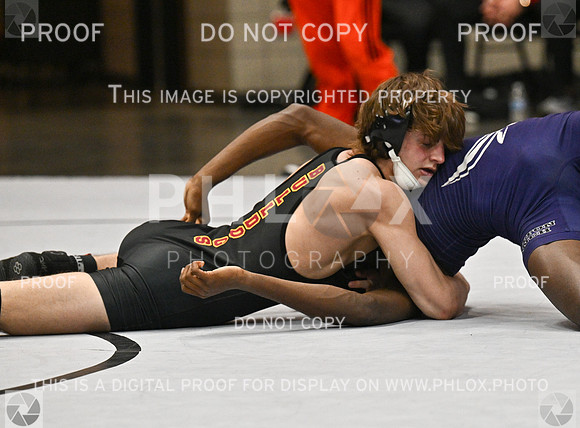 DLS_0152