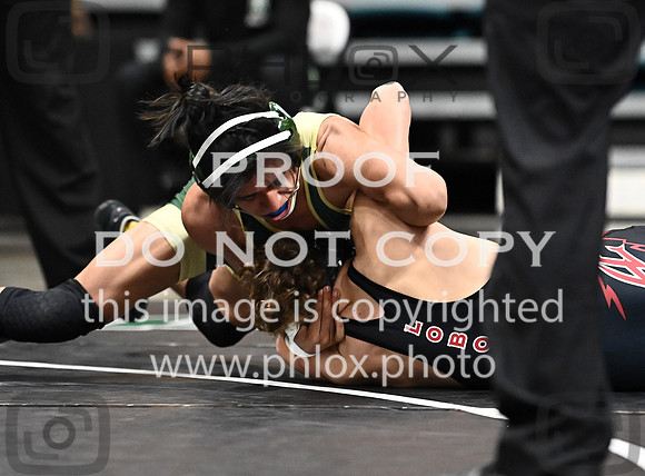 DLS_1814