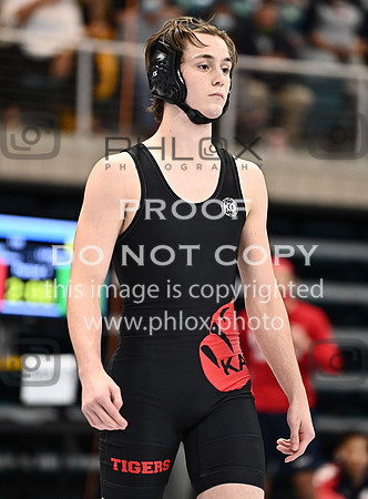 DLS_1817