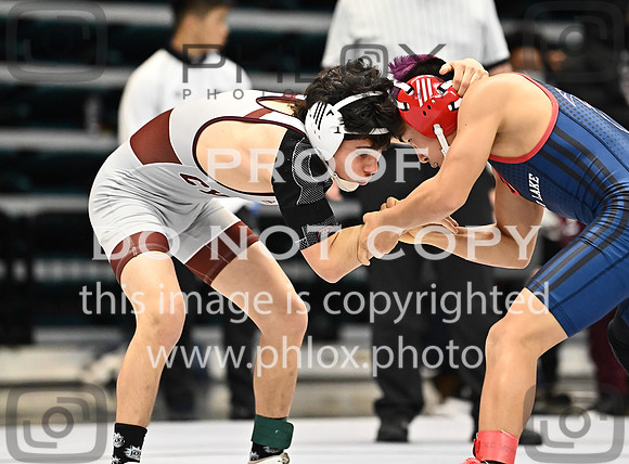 DLS_1732