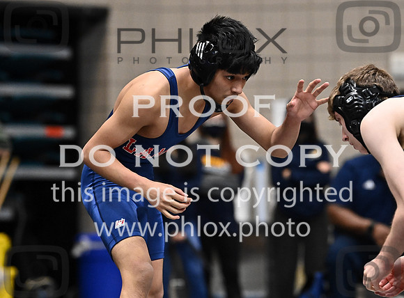 DLS_1705