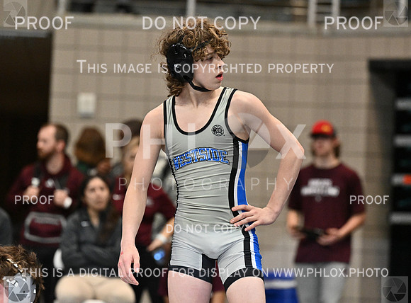 DLS_0101