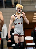 DLS_1767