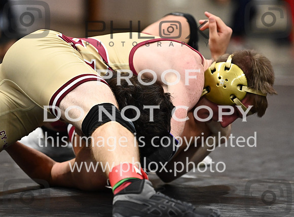 DLS_1840