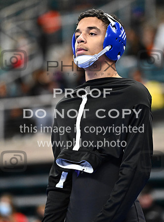 DLS_1828
