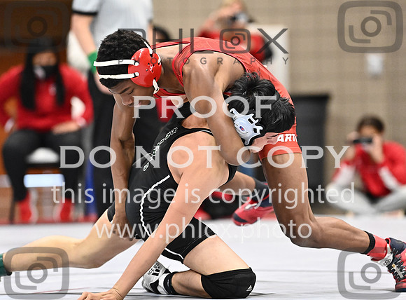 DLS_1845