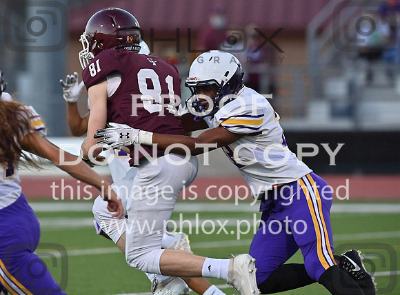 DLS_7905